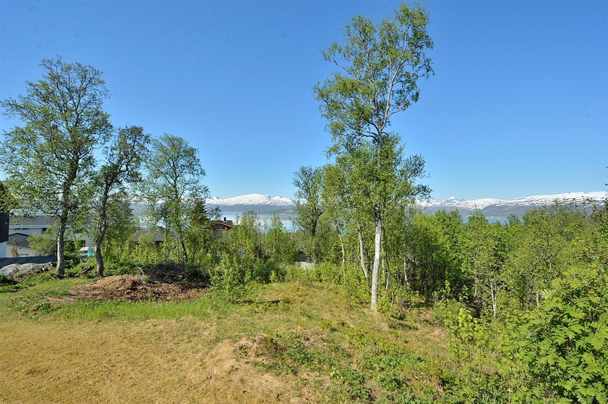 Nærhet til "alt" Galleribilde