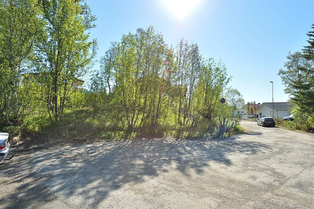 Innerst i blindveg Galleribilde