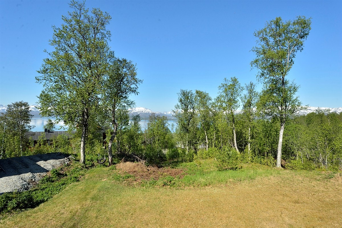 Grenser mot friareal og Folkeparken Galleribilde