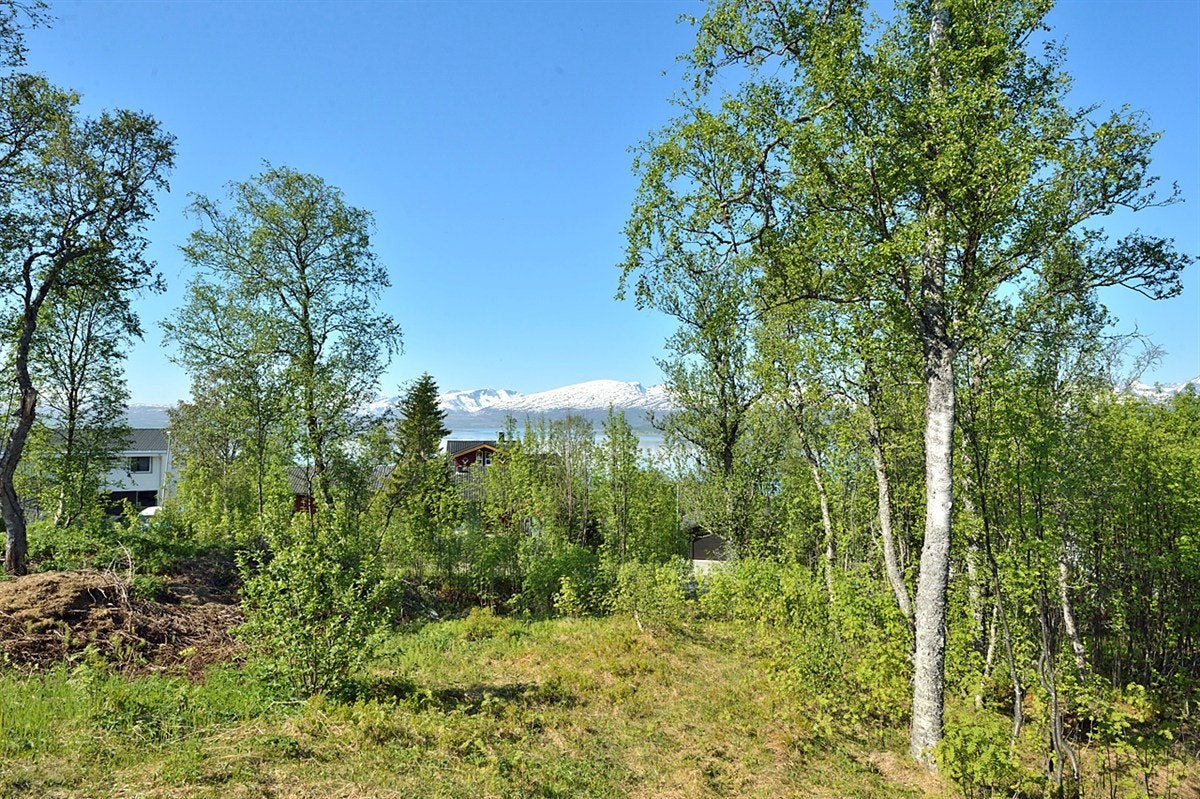 Nydelig utsikt og meget gode solforhold Galleribilde