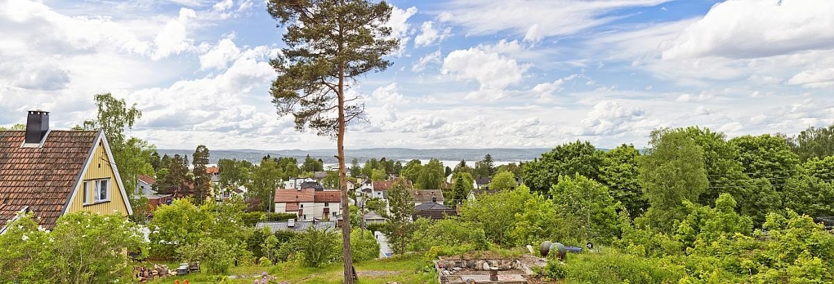 Panoramabilde av utsikten. Galleribilde