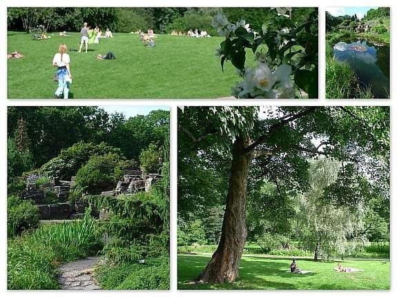 Botanisk hage i umiddelbar nærhet. Det offentlige soleområdet i parken er praktisk talt for egen takterrasse å regne. Fine rekreasjonsmuligheter. Galleribilde