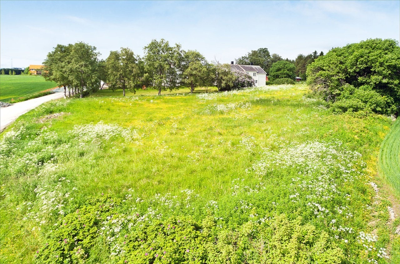 Området Galleribilde