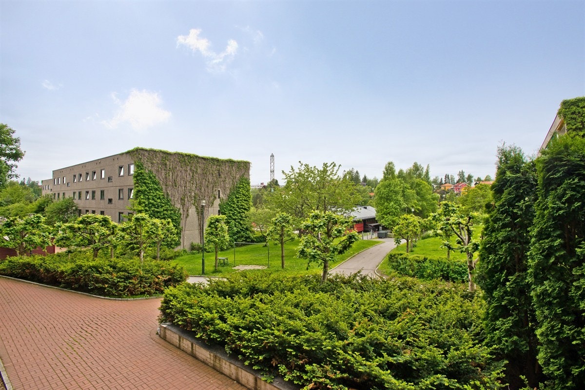 Nærområdet Galleribilde