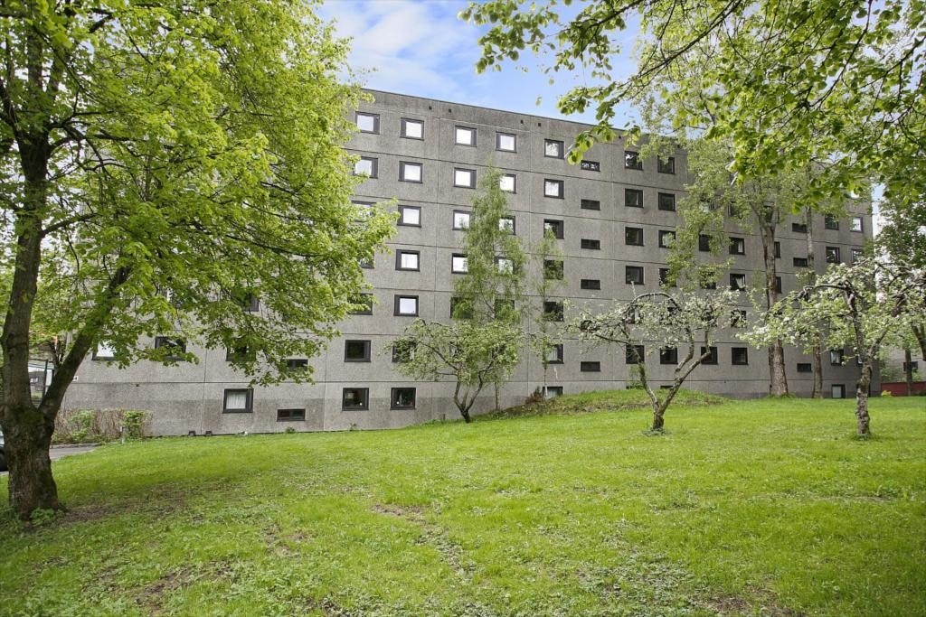 Grøntarealer på baksiden av bygningen Galleribilde