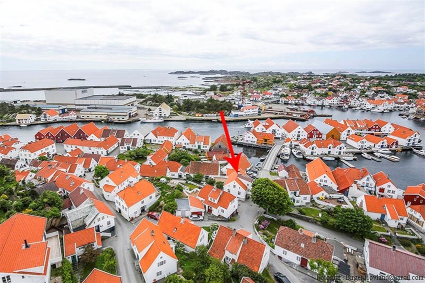 CQ0A1518 Galleribilde