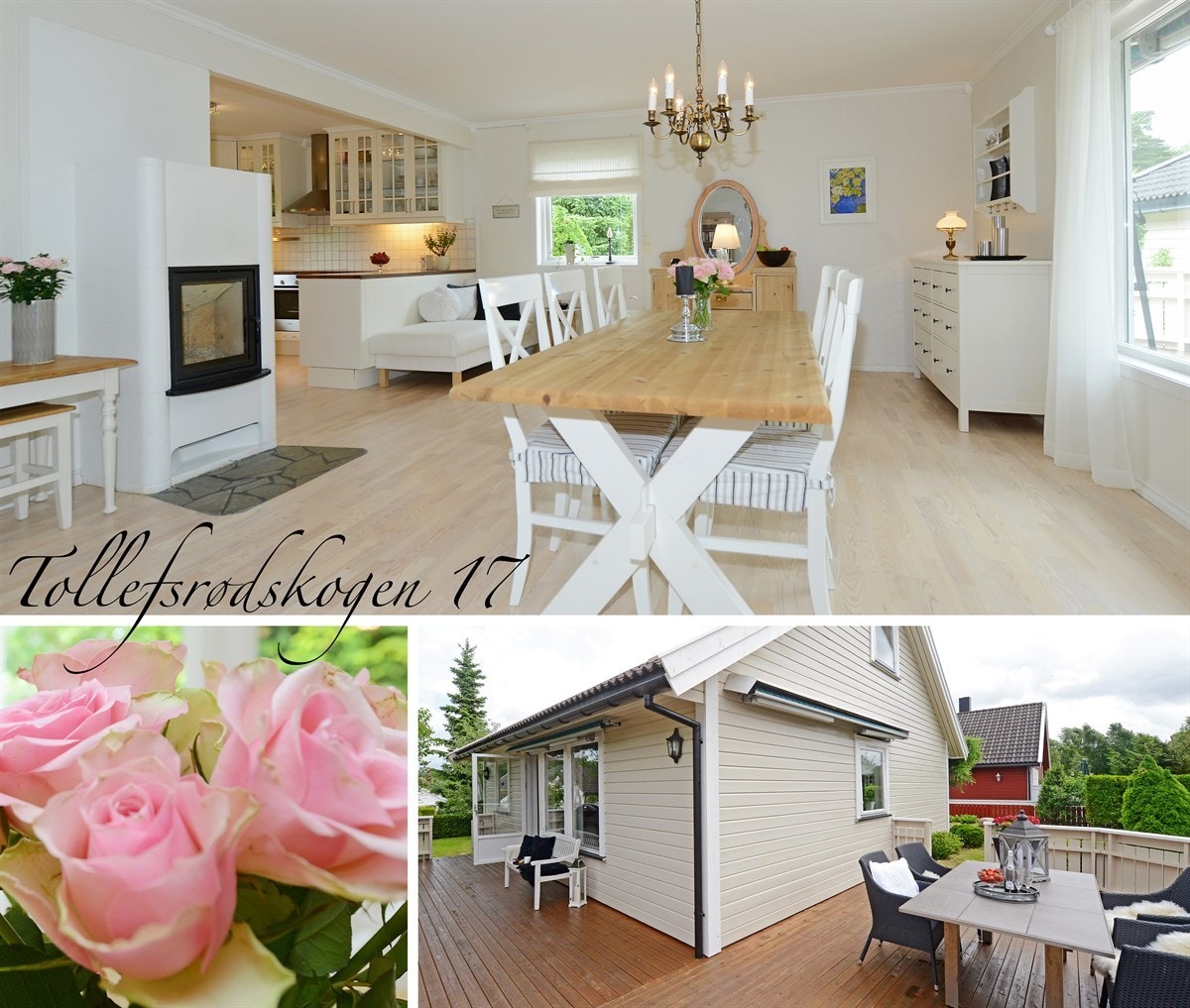 Velkommen til Tollefsrødskogen 17. Galleribilde