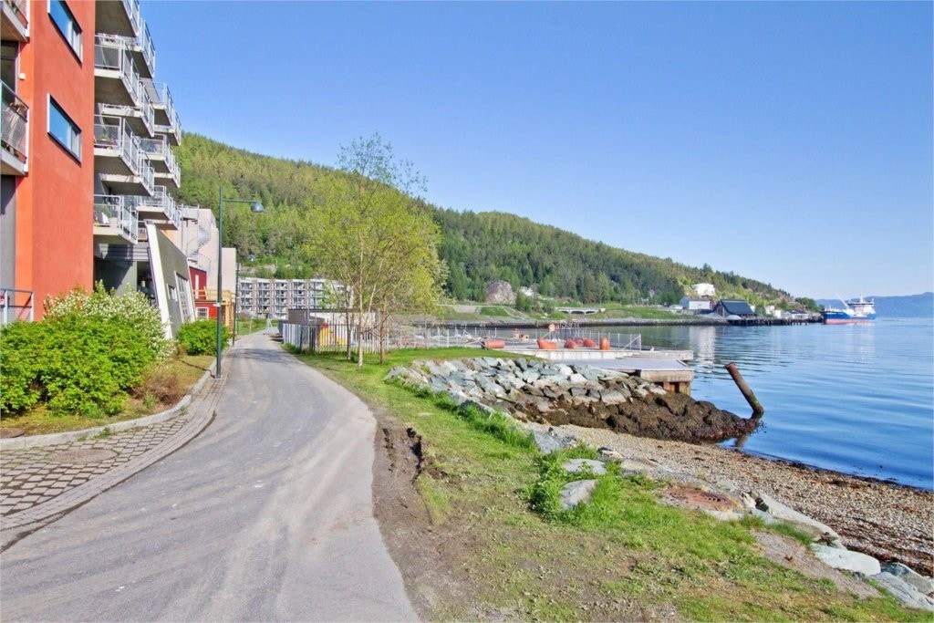 Nærområde med flotte muligheter for bading, jogging etc. Galleribilde
