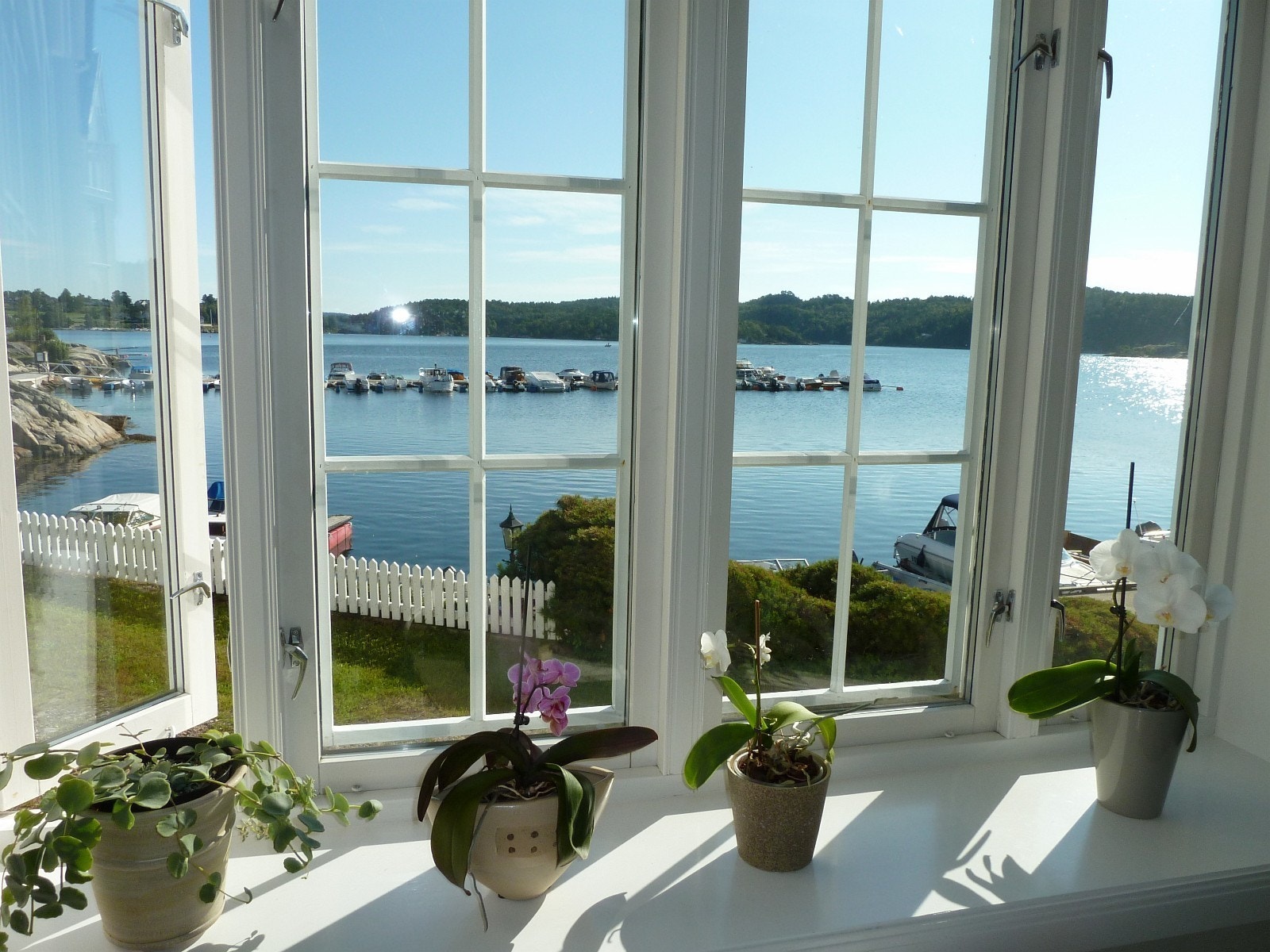 Utsikt fra kjøkken Galleribilde