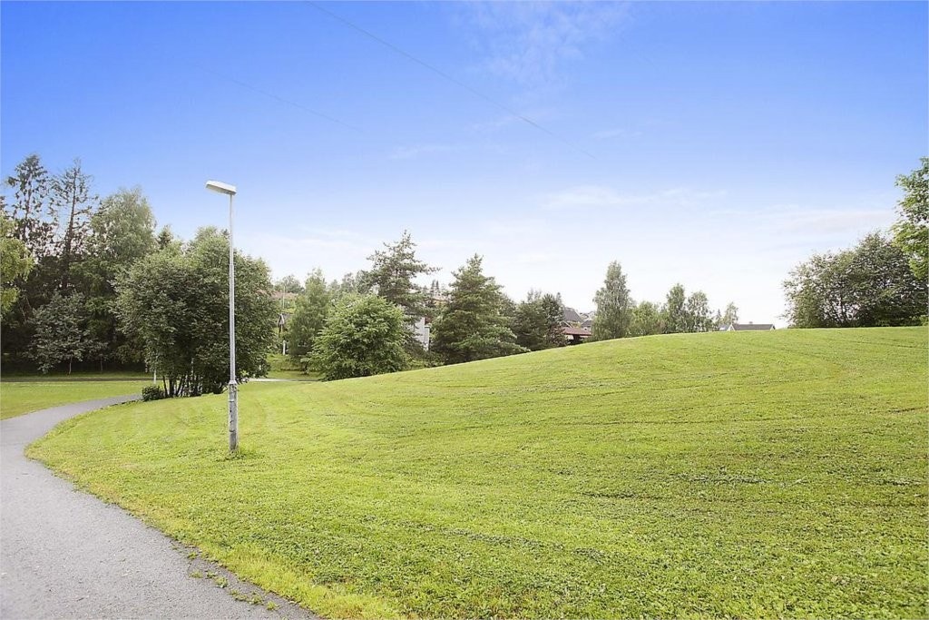 Nærområde Galleribilde