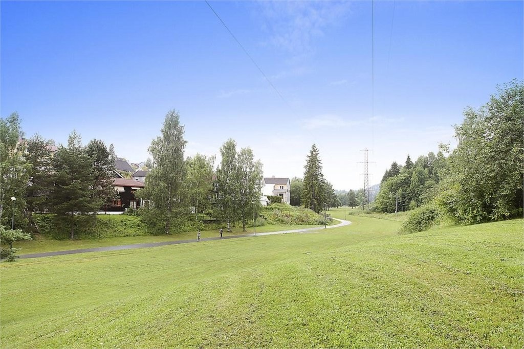 Nærområde Galleribilde