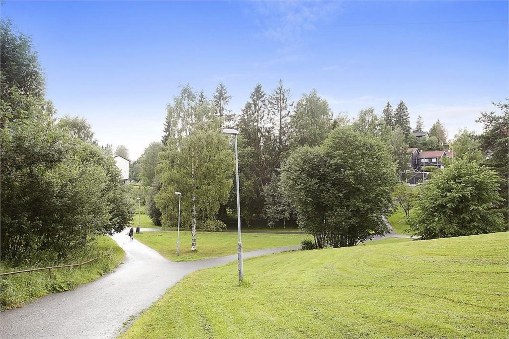 Nærområde Galleribilde