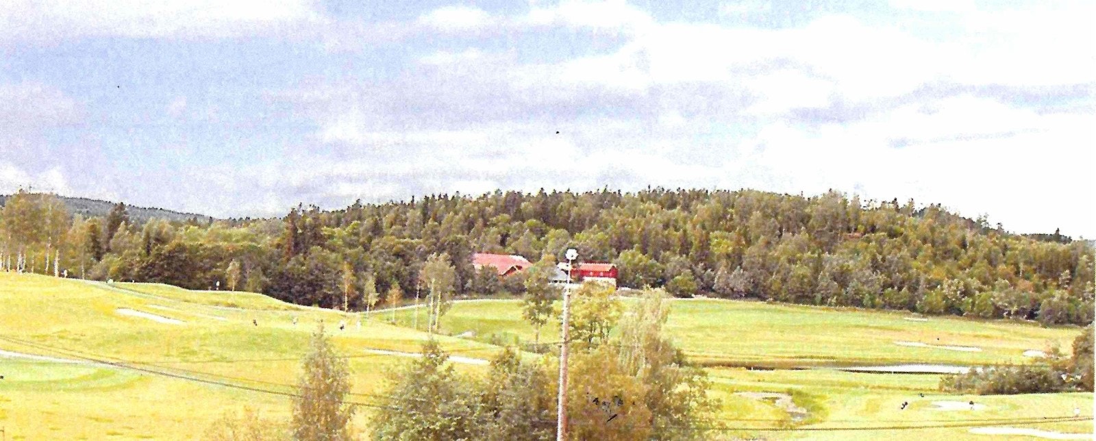 Utsikt mot marka Galleribilde