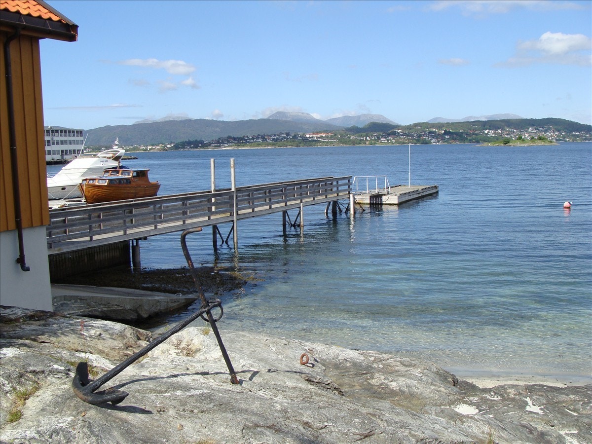 Utsikt fra strand Galleribilde