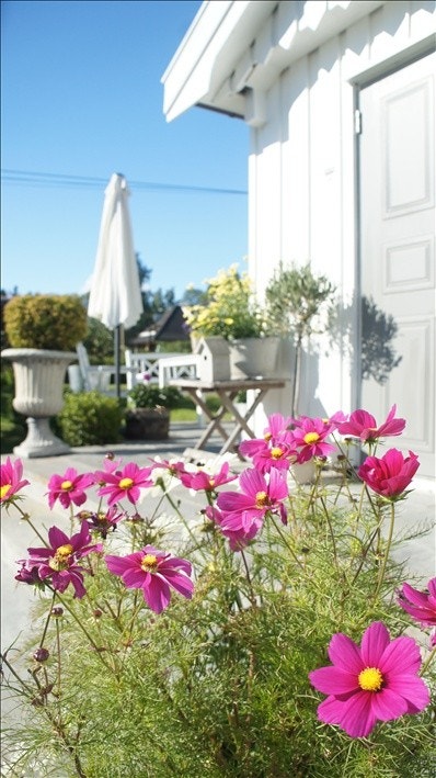 Fra terrassen og inngangsparti Galleribilde