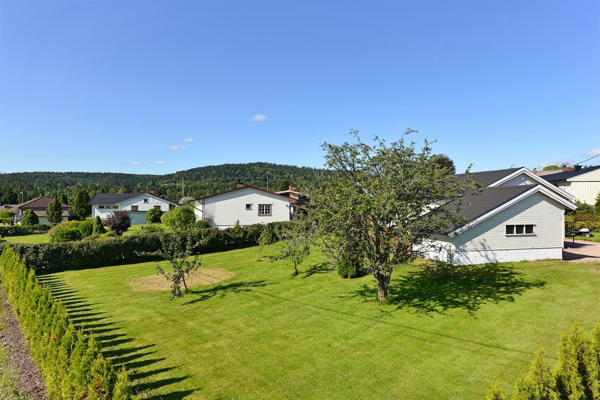 Pent opparbeidet hage og hekk. Galleribilde