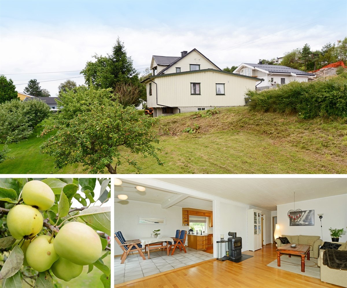 Untitled-1 Galleribilde