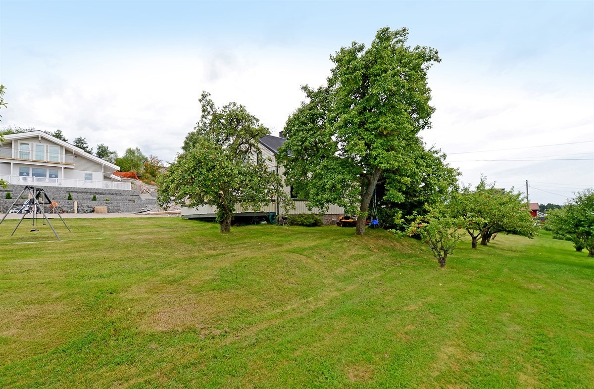 DSC_5437 Galleribilde