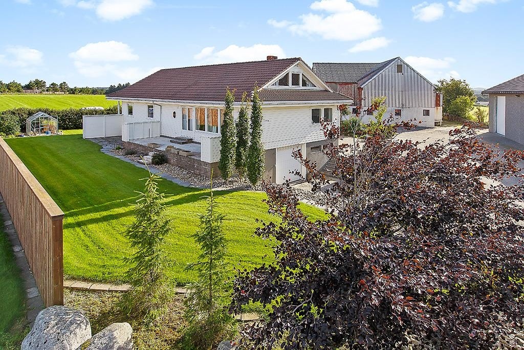 Områdebilde Galleribilde