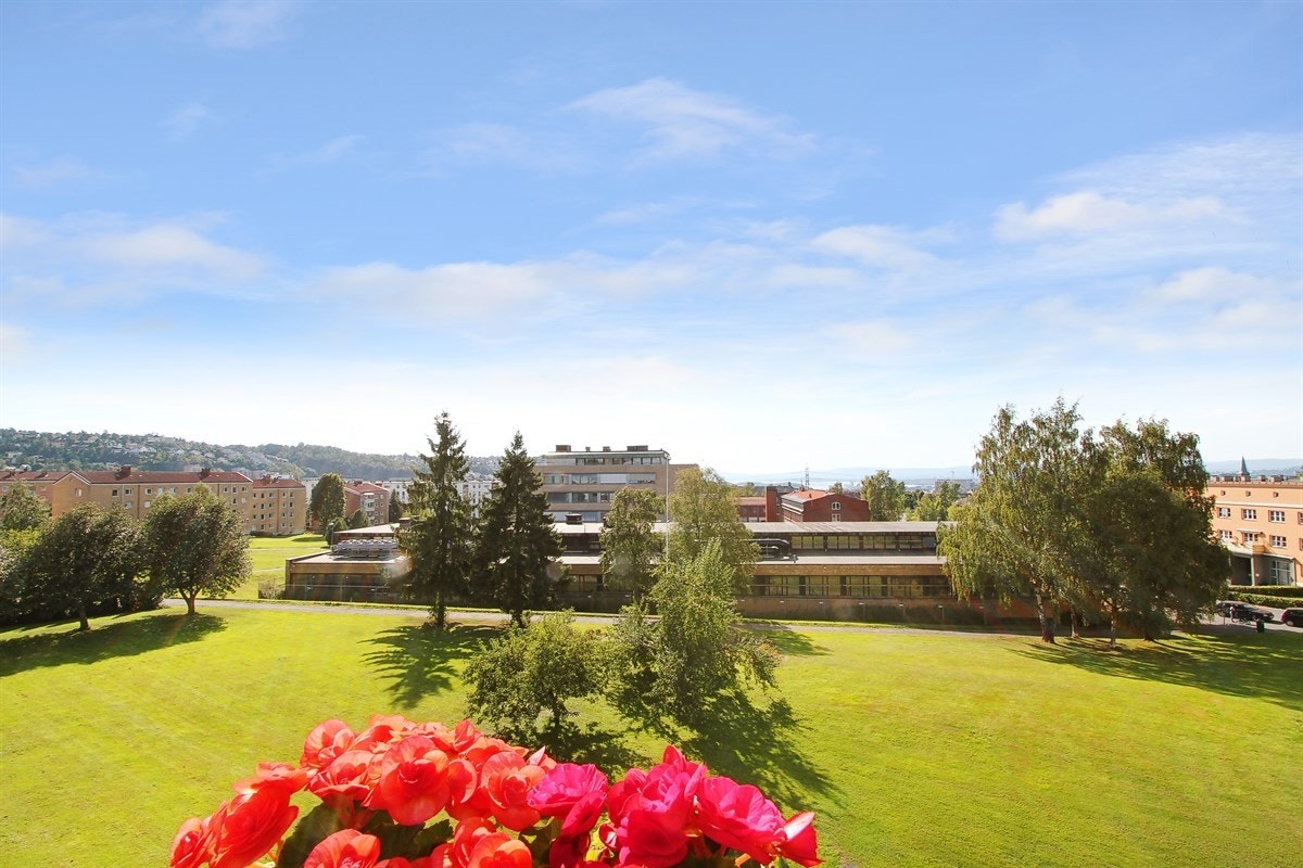 Hyggelig utsikt fra balkongen mot borettslagets grøntarealer Galleribilde