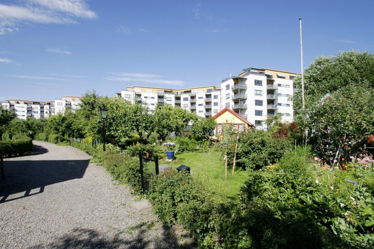 Etterstad Kolonihage Galleribilde