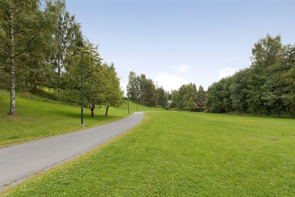 Flere turmuligheter i området! Galleribilde