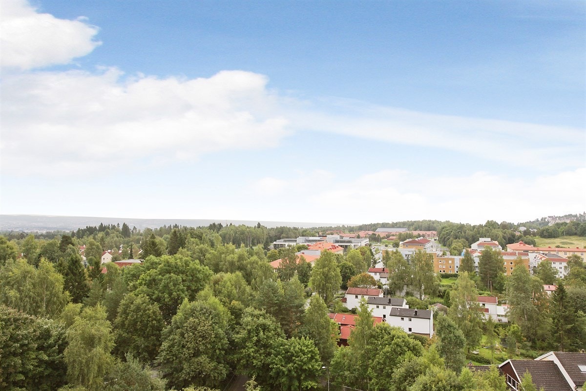 Nydelig panoramautsikt mot Oslo og omegn Galleribilde