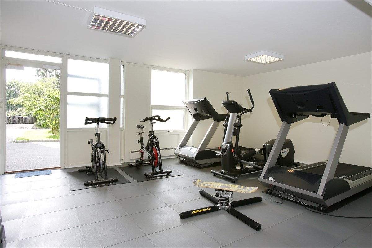 Trimrom Galleribilde