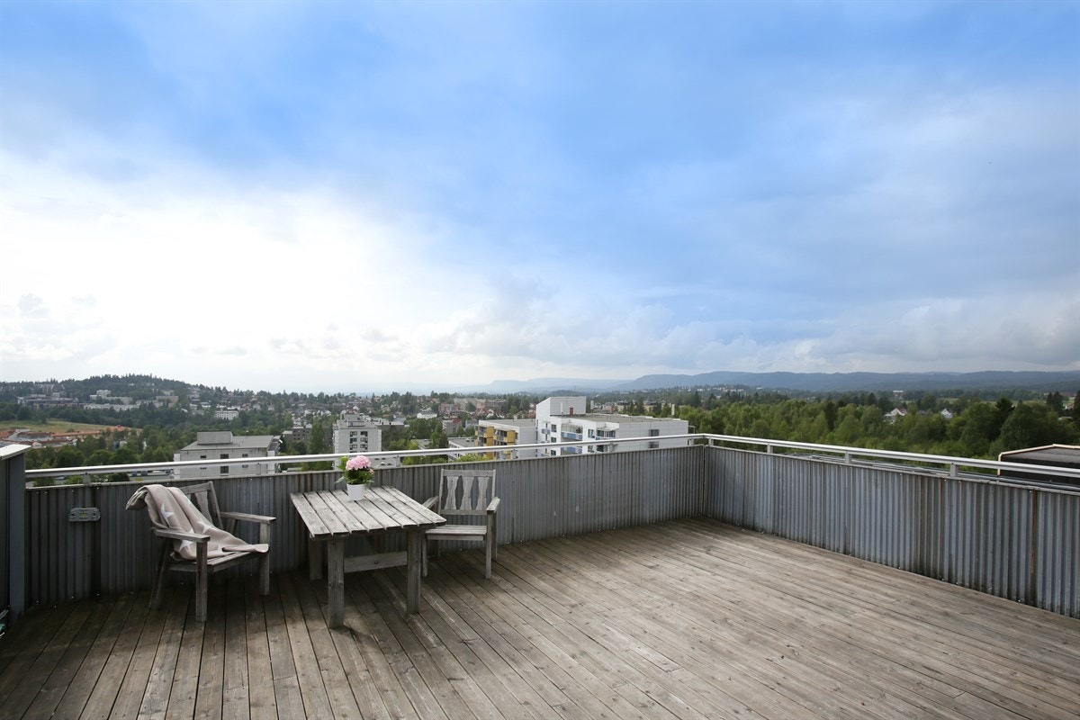 takterrasse Galleribilde