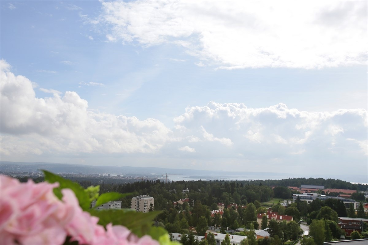Utsikt fra takterrasse Galleribilde
