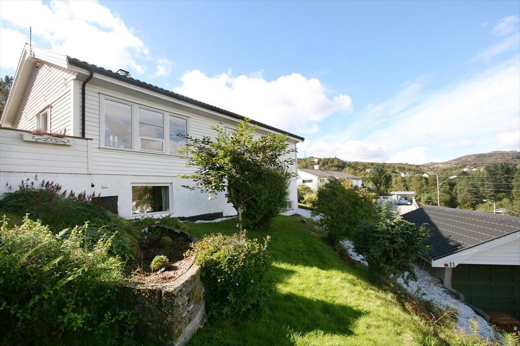 Bilde nr. 1 Galleribilde