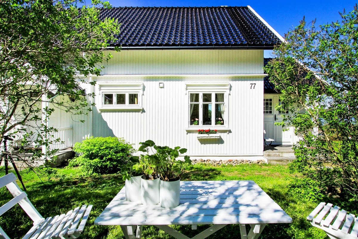 IMG_3919 Galleribilde