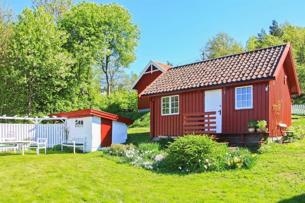 IMG_7153 Galleribilde