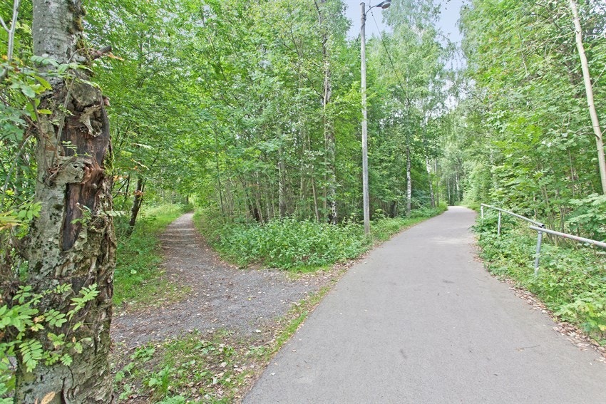 Fine turveier i nærområdet Galleribilde