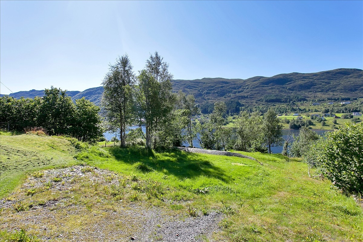 Tomteområde mot sjøen Galleribilde