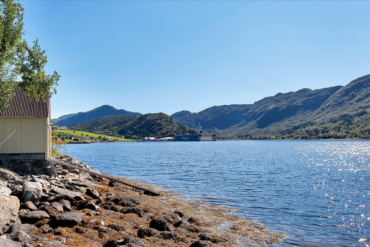 Strandlinje Galleribilde