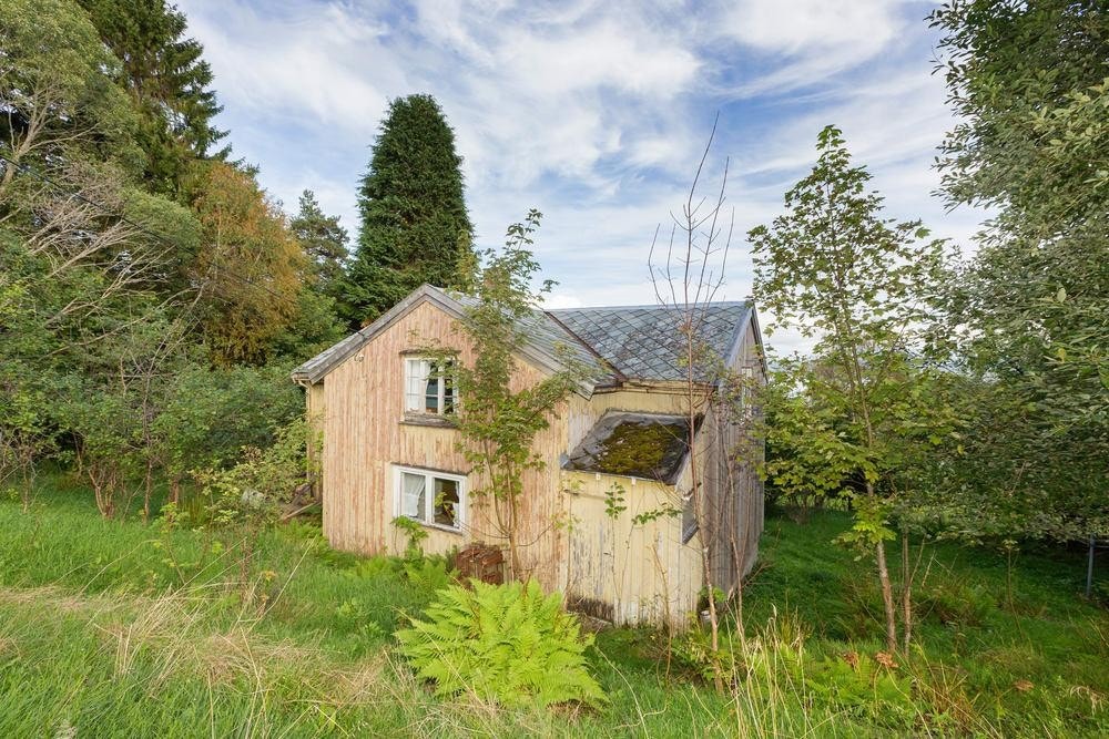 Baksiden av huset Galleribilde