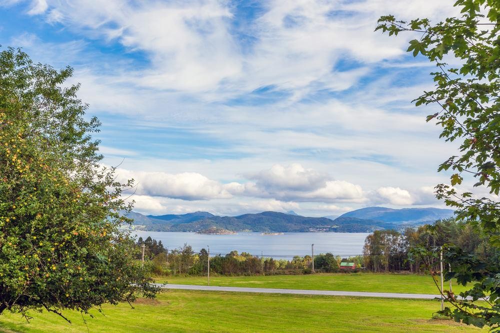 Utsikt over Freifjorden Galleribilde