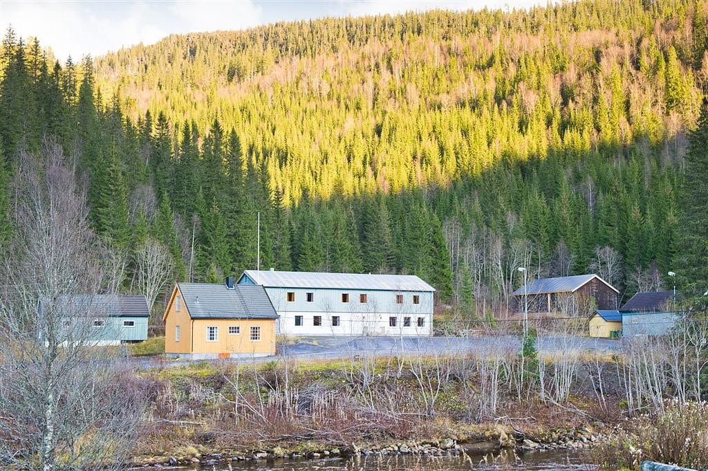 Uteområde Galleribilde