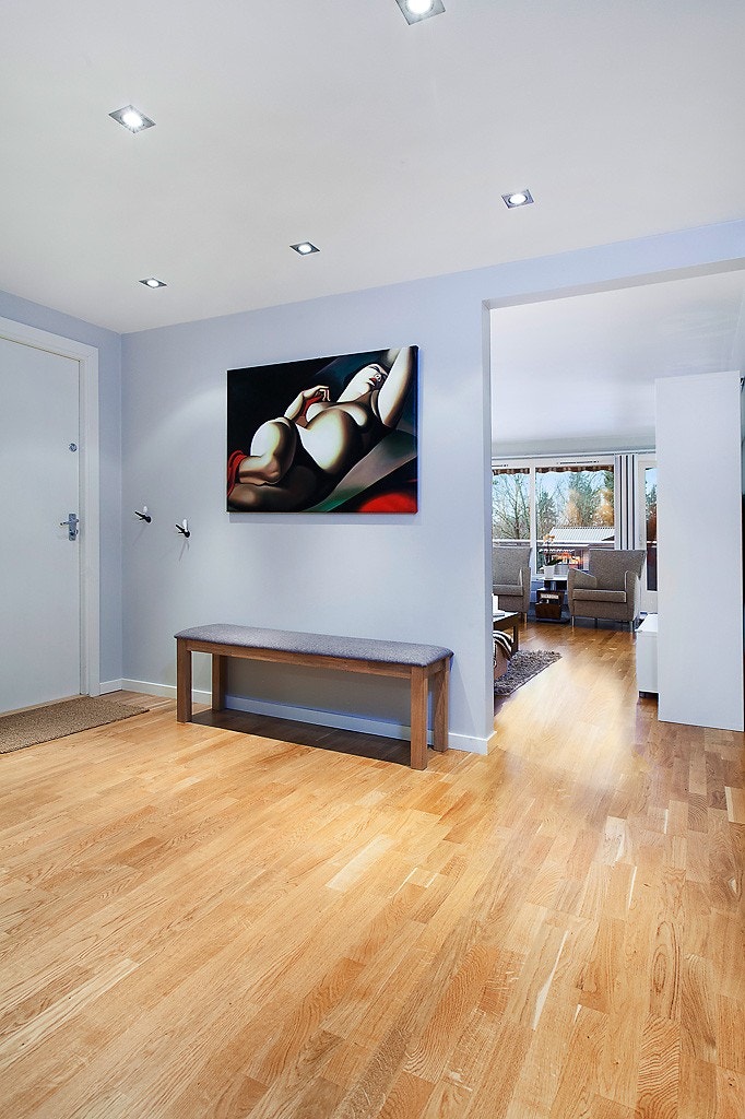 Meget romslig entré/gang Galleribilde