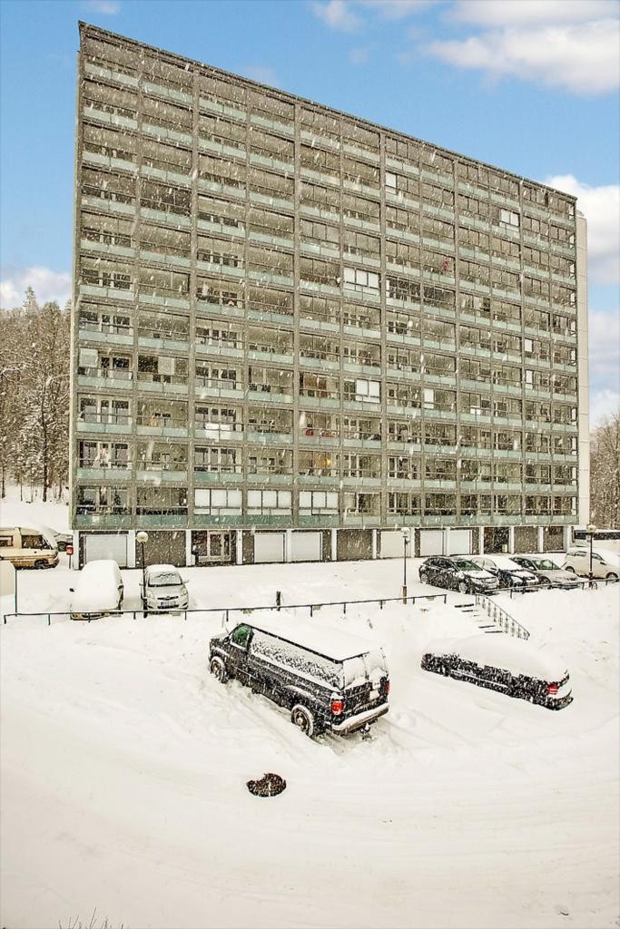 Mastfoto Galleribilde