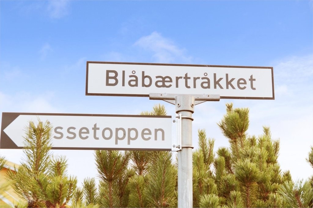 Blåbærtråkket på Skogmo nær Jessheim i Ullensaker kommune. Galleribilde