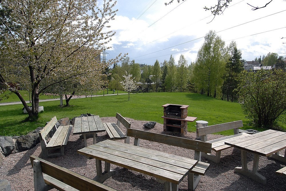 Grillplass i borettslaget Galleribilde
