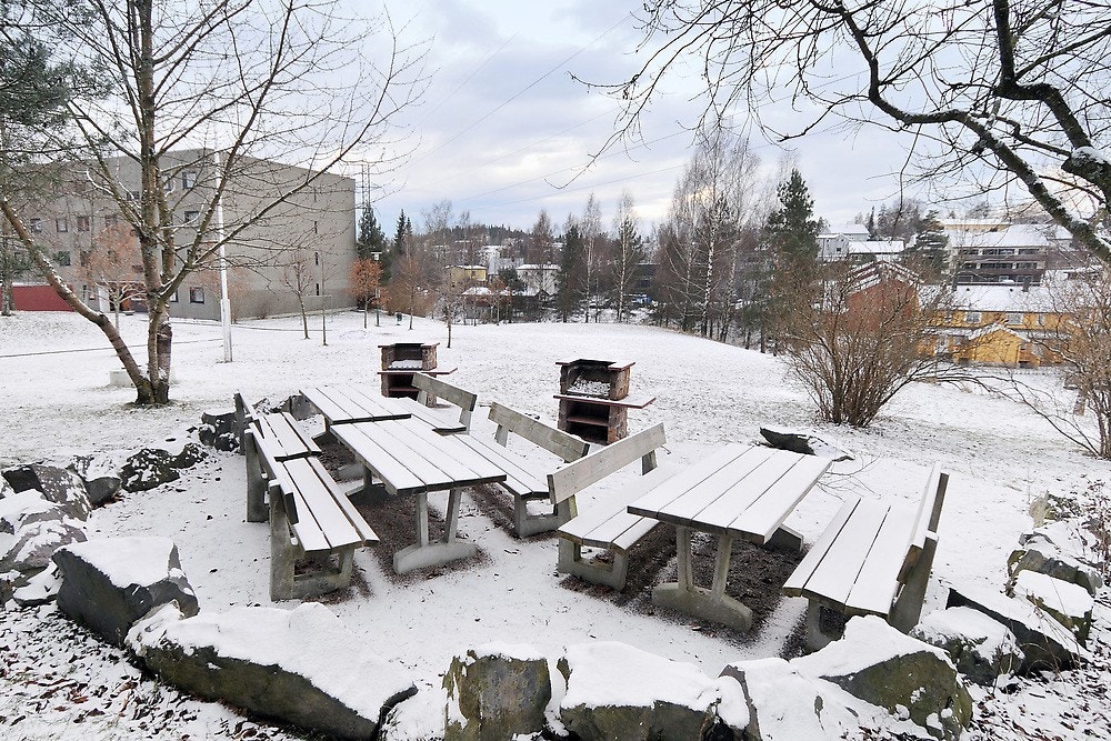 Felles grillplass Galleribilde