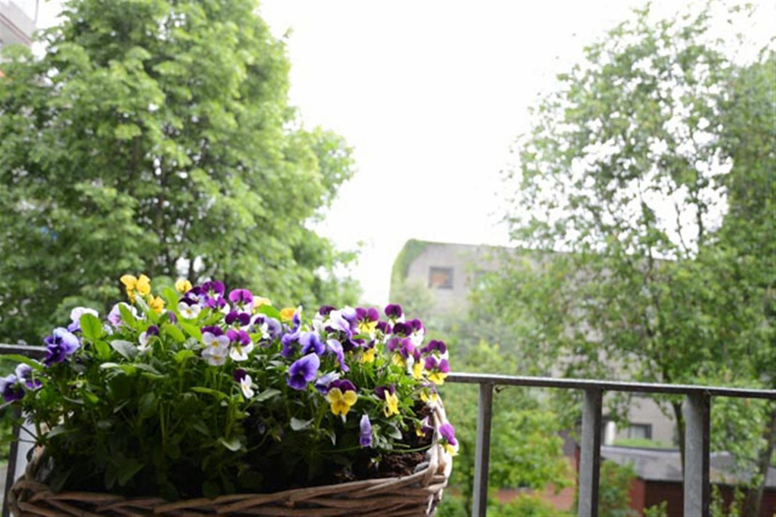 Fin sommerbilde bra balkong. Gode solforhold. Galleribilde