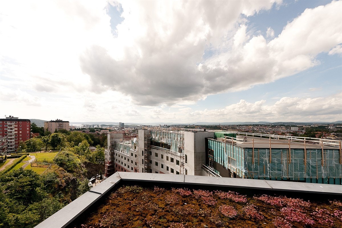 Utsikt fra takterrasse Galleribilde