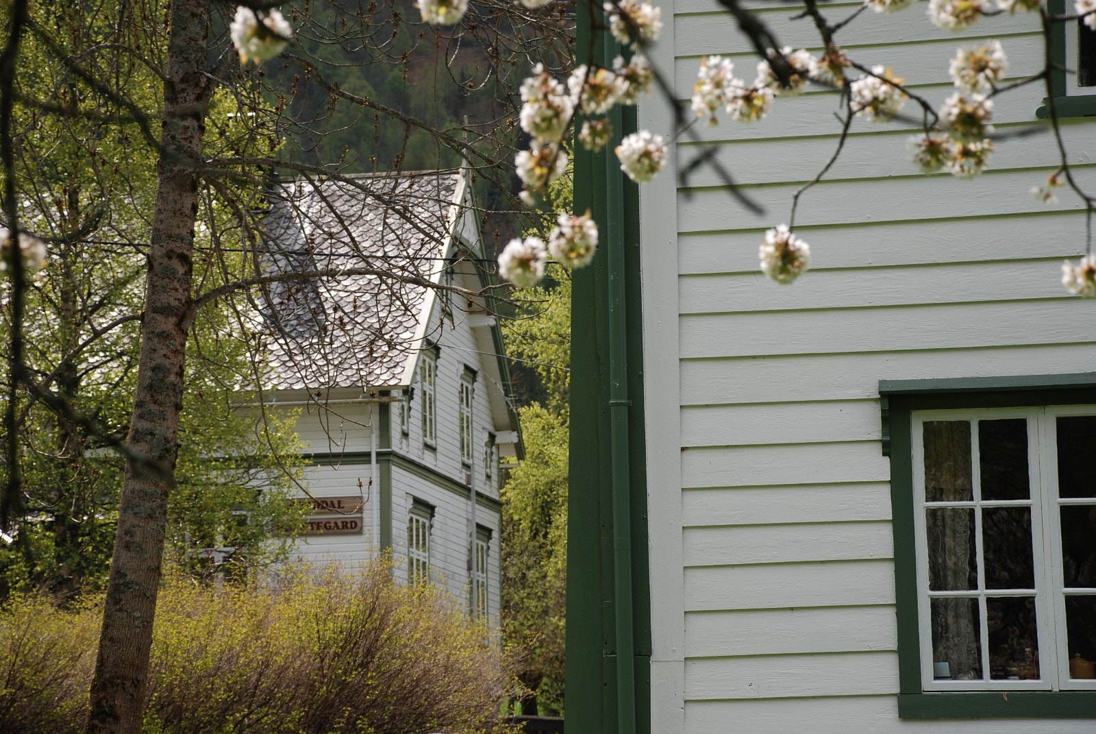 Prestebustaden ligg i eit vakkert , verna bygningsmiljø av paktarstove, løe, stabbur og uthus. Galleribilde