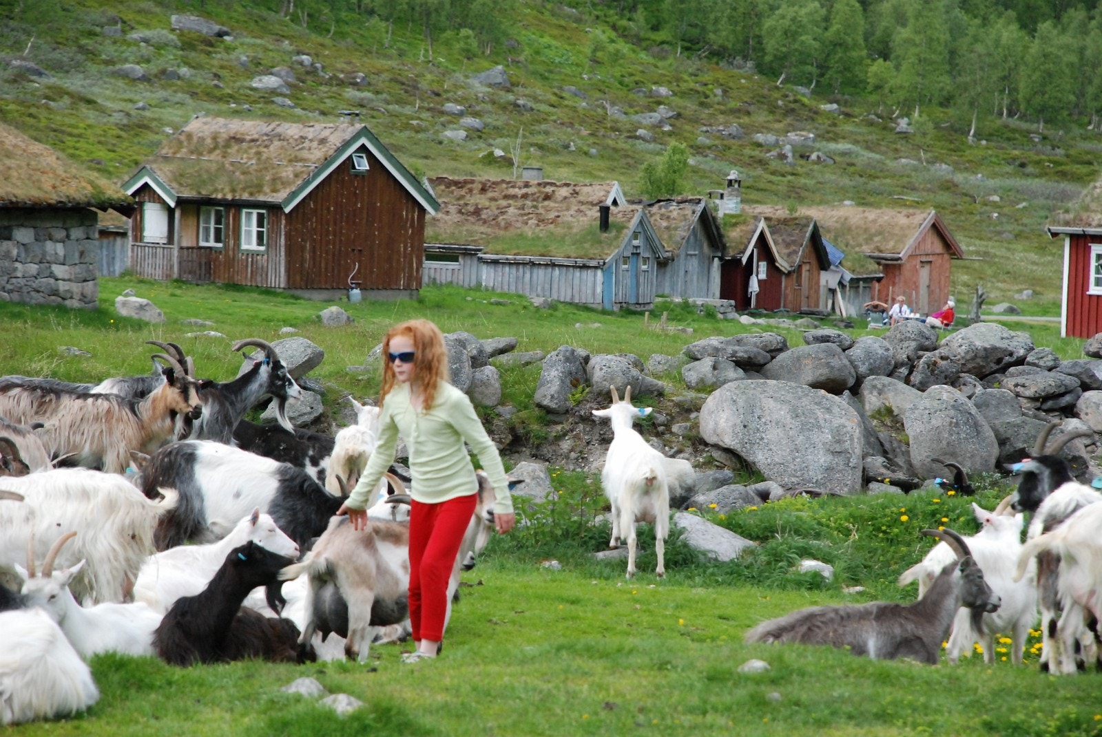 Den kjende Herdalssetra ligg heilt i enden av bygda. Galleribilde