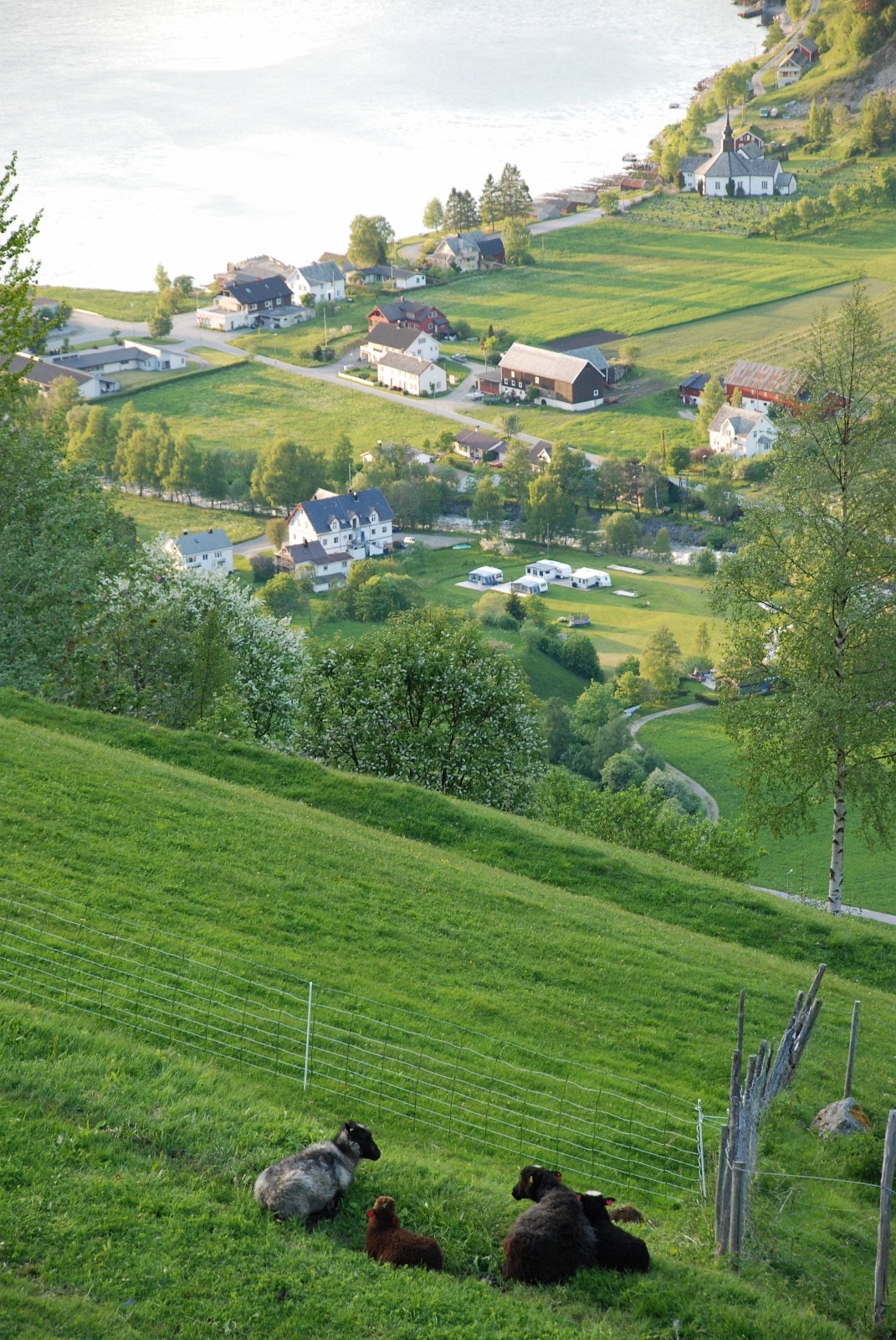 Vakker bygd med mange aktive "kortreist"-aktørar Galleribilde