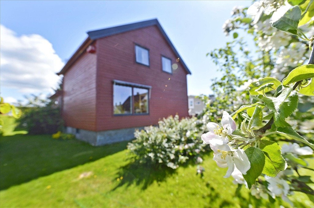 Fasade med deler av hagen Galleribilde